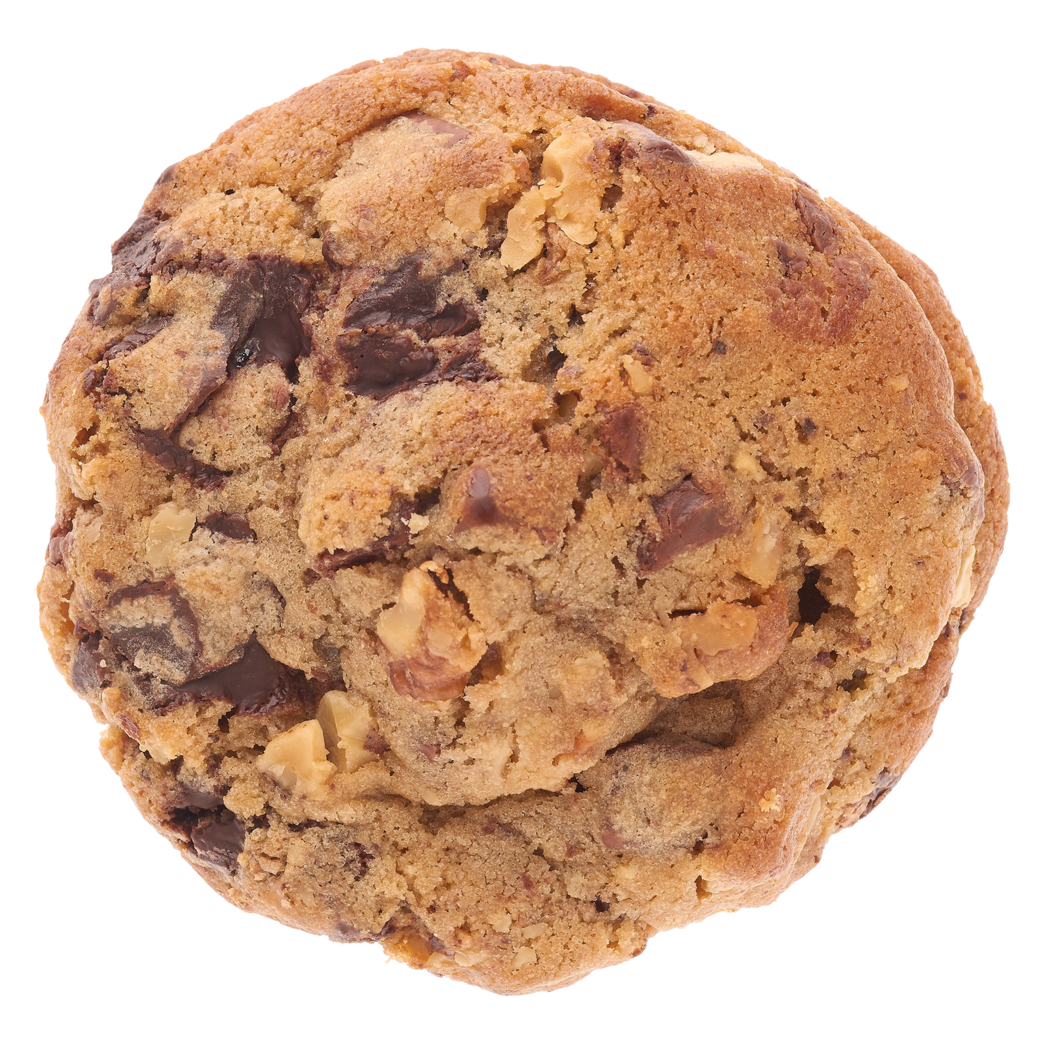 Walnut Chocolate Chip Cookie | Bang Cookies