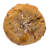Salted Caramel Chocolate Chip